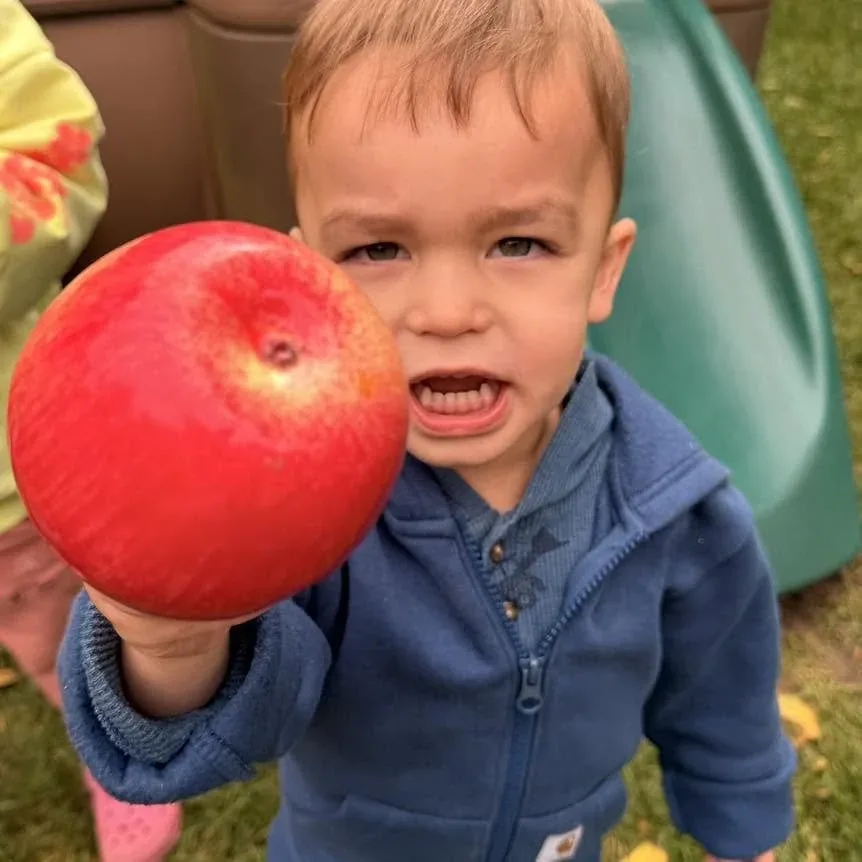 Child holding up a big red apple outdoors