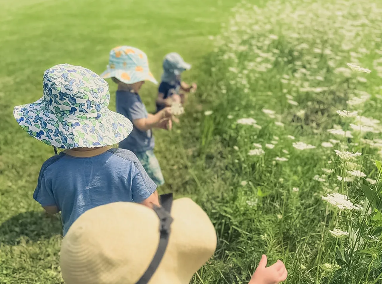 Children exploring a meadow of white wildflowers